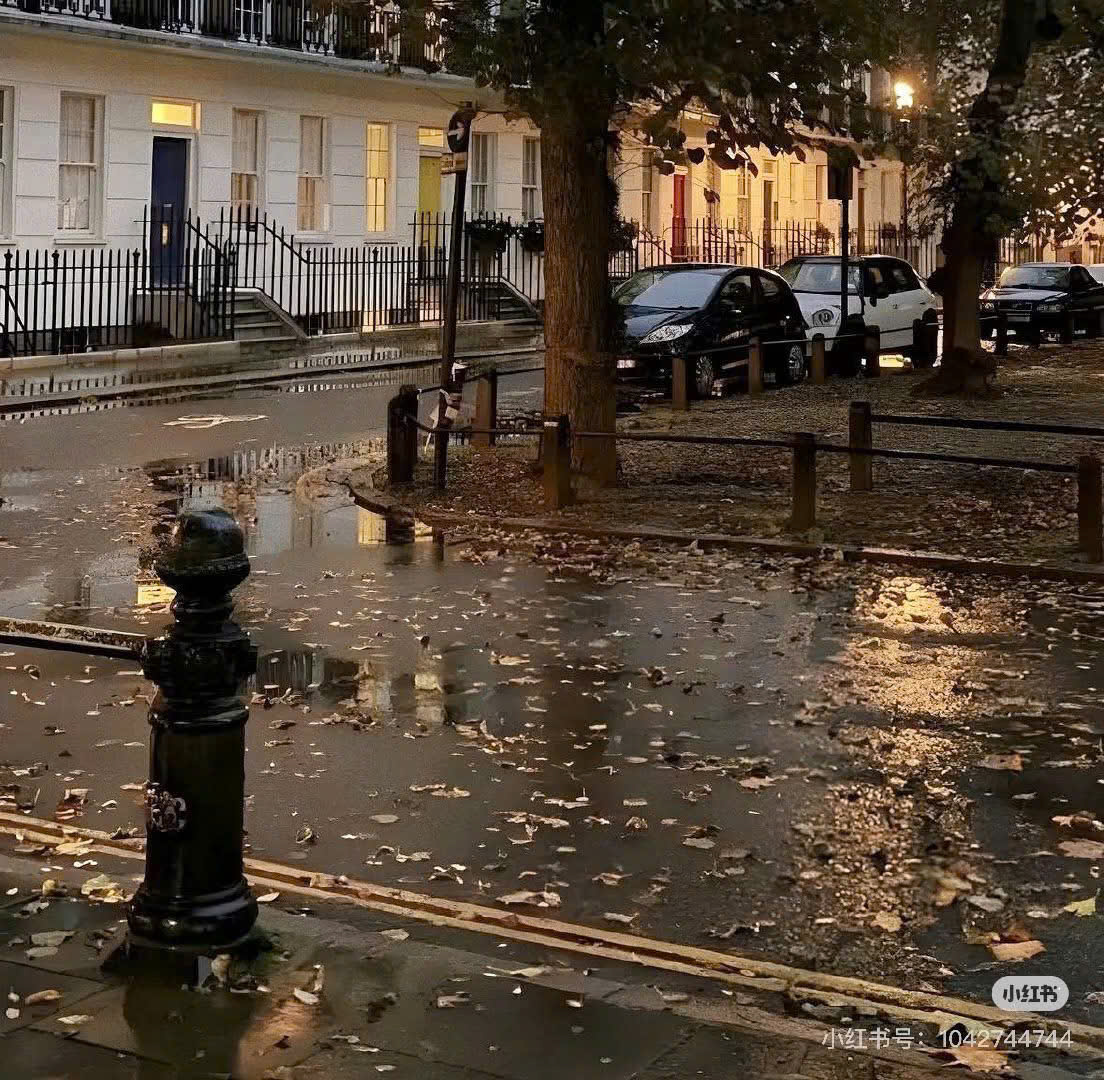 Xin Đừng Gặp Lại